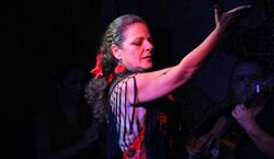 Veranstaltung: Tablao Flamenco El Toro y la Luna Espectáculo y Bebida, Valencia Flamenco shows in València