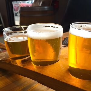 Veranstaltung: Bike and Brew Tour, 2301 Champa St in Denver