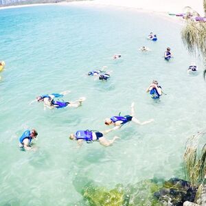 Veranstaltung: Gold Coast: Morning Dolphin Kayaking & Snorkeling Tour, Gold Coast Aviation Activities in Byron Bay