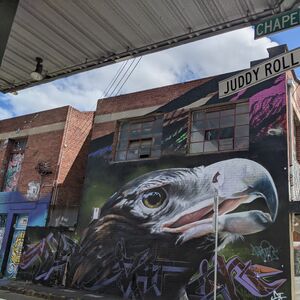 Veranstaltung: Street Art of Melbourne Exploration Game, 43/ Hosier Lane in Melbourne