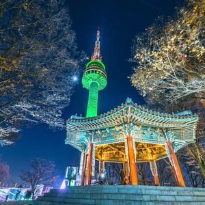 Veranstaltung: N Seoul Tower Observatory: Admission with Lotte Duty Free Discount Voucher, N Seoul Tower in Seoul