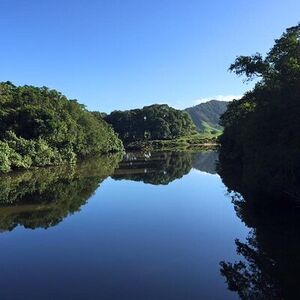 Veranstaltung: Ultimate Daintree Rainforest Wildlife Experience Cruise, 2914 Mossman Daintree Rd in Port Douglas