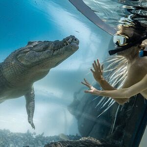 Veranstaltung: Wildlife Habitat Port Douglas, Wildlife Habitat in Port Douglas