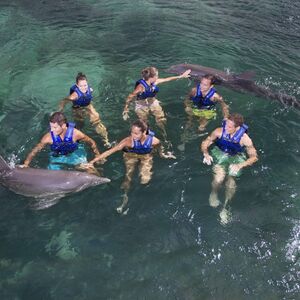 Veranstaltung: Delfinario Xcaret: Nada con delfines, Delphinus Xcaret in Playa del Carmen