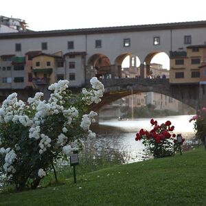 Veranstaltung: Fiume Arno Firenze: Crociera del Barchetto di 50 minuti, Florence Audio Guides in Florence