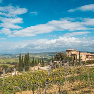 Veranstaltung: Maremma: degustazione di vino Sangiovese, Tuscany Wine Tasting in Montalcino