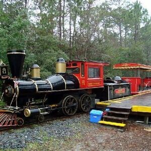 Veranstaltung: Okefenokee Swamp Park: Entry Ticket + Guided Tour, Okefenokee Swamp Park in Waycross