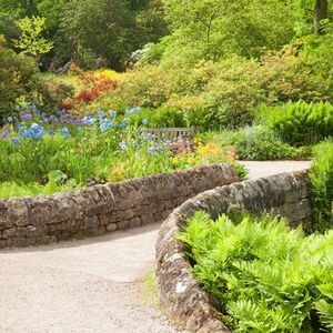 Veranstaltung: RHS Garden Harlow Carr: Entry Ticket, RHS Garden Harlow Carr in Harrogate