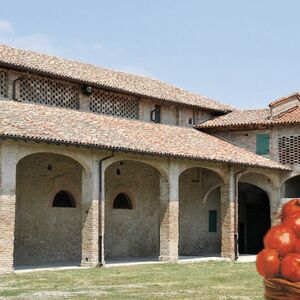 Veranstaltung: Musei del Cibo: Museo del Pomodoro, Tomato Museum in Collecchio