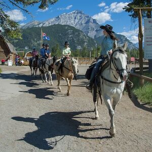 Veranstaltung: Bow River Horseback Ride from Banff, Banff City Tours in Banff