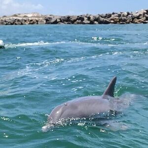 Veranstaltung: Crab Island Dolphin Jetski Adventure, Destiny Water Adventures in Fort Walton Beach