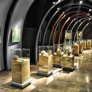 Veranstaltung: Archaeological Museum – Nowa Huta Branice, Archaeological Museum in Krakow in Krakow