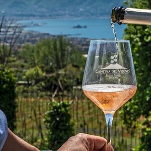 Veranstaltung: Vesuvio: Tour dei vigneti + degustazione di vini e pranzo, Mount Vesuvius in Ercolano