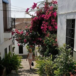 Veranstaltung: Costa Tropical y Cueva de Nerja: Excursión de un día desde Granada + Comida, Caves of Nerja in Nerja