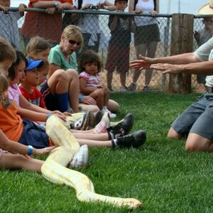 Veranstaltung: Out of Africa Wildlife Park, Out of Africa Wildlife Park in Camp Verde