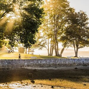 Veranstaltung: Vancouver: Evening Guided Bus Tour of Stanley Park, Vancouver City Tours in Vancouver