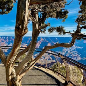 Veranstaltung: Grand Canyon National Park: Day Trip from Las Vegas with Lunch, Grand Canyon Tours from Las Vegas in Las Vegas