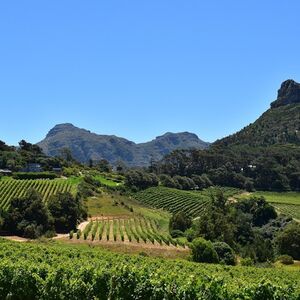 Veranstaltung: Winelands & Stellenbosch-Franschhoek: Private Wine Tasting Tour, Cape Town in cape town