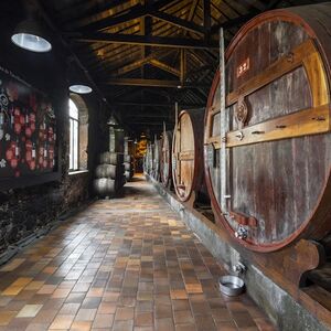 Veranstaltung: Caves Burmester: prova de vinhos do Porto, Burmester Wine Cellars in Vila Nova de Gaia