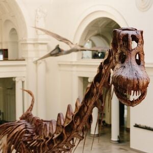 Veranstaltung: The Field Museum of Natural History: General Admission, Field Museum in Chicago