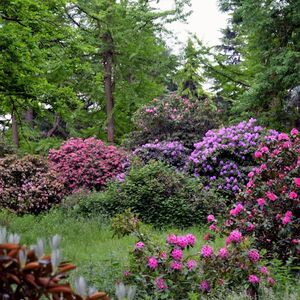 Veranstaltung: Arboretum de Versailles-Chèvreloup: Billet d'entrée, Arboretum de Chèvreloup in Rocquencourt