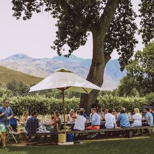 Veranstaltung: Franschhoek Wine Tram Explorer Tour: Roundtrip from Cape Town, Day Trips from Cape Town in Cape Town