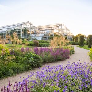 Veranstaltung: RHS Garden Wisley: Entry Ticket, RHS Garden Wisley in Woking