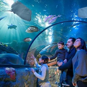 Veranstaltung: Gardaland Park + Gardaland SEA LIFE Aquarium, Gardaland Amusement Park in Verona