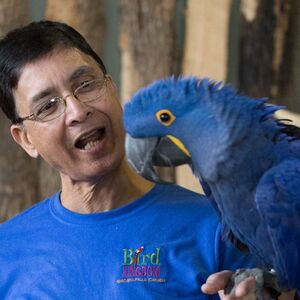 Veranstaltung: Bird Kingdom Niagara Falls: Entry Ticket, Bird Kingdom Niagara Falls in Niagara Falls (CA)