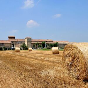 Veranstaltung: Musei del Cibo: Museo della Pasta, Pasta Museum in Collecchio