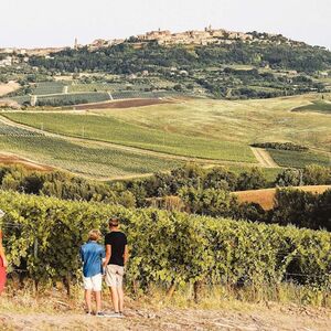 Veranstaltung: Montepulciano: Tour di degustazione di vini in due cantine, Siena Wine Tasting in Siena