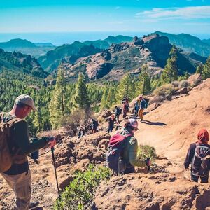 Veranstaltung: Gran Canaria: Visita Guiada al Volcán + Degustación de Productos Locales + Traslado de Ida y Vuelta, Day Trips from Las Palmas de Gran Canaria in Las Palmas de Gran Canaria