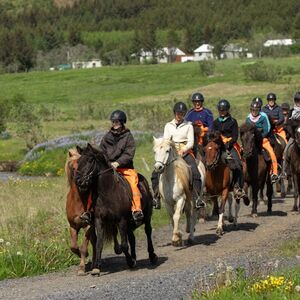 Veranstaltung: Iceland: Horseback Riding - Mountains & Meadows Tour, Ölfus Outdoor Activities in Ölfus