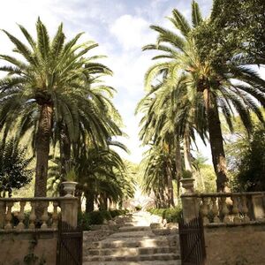 Veranstaltung: Jardines de Alfabia: Entrada sin colas, Jardines de Alfabia in Majorca