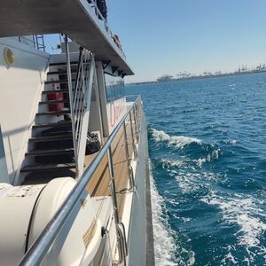 Veranstaltung: Valencia: Crucero en Catamarán + Baño, Valencia Tourist Card in Valencia