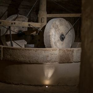 Veranstaltung: MOOM Matera Olive Oil Museum: Biglietto d'ingresso, MOOM Matera Olive Oil Museum in Matera