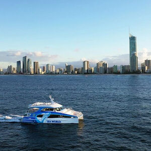 Veranstaltung: Whale Watching by Sea World Cruises, 130 Seaworld Dr in Gold Coast