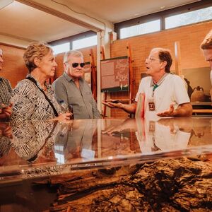 Veranstaltung: Ercolano: Salta la fila e visita guidata con l'archeologo, Herculaneum in Ercolano