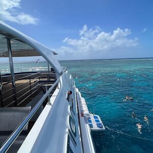 Veranstaltung: Outer Great Barrier Reef Full-Day Tour with Lunch, Cairns Cruises in Cairns