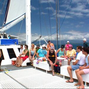 Veranstaltung: Wavedancer Low Isles Cruise from Port Douglas, Low Isles in Port Douglas