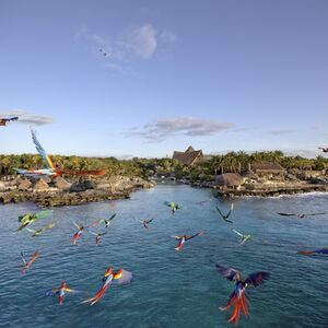 Veranstaltung: Parque Xcaret: Acceso rápido y Transporte, Xenses Park in Playa del Carmen