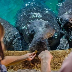 Veranstaltung: Singapore River Wonders: Entry Ticket, River Wonders in Singapore