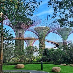 Veranstaltung: Singapore: Gardens by the Bay Tour - Supertrees, Flower Dome and Cloud Forest, Gardens by the Bay in Singapore