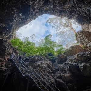 Veranstaltung: Margaret River: Lake Cave Guided Tour, Lake Cave in Forest Grove