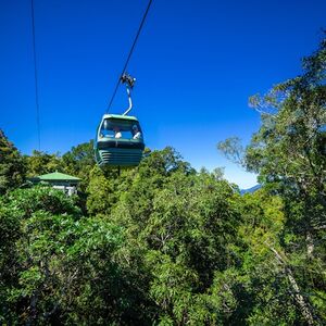 Veranstaltung: Self-Drive Kuranda Experience: Skyrail Rainforest Cableway & Scenic Rail, Skyrail Rainforest Cableway in Cairns