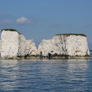 Veranstaltung: Jurassic Coastal Cruise from Poole, Poole Quay in Poole