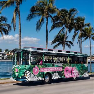 Veranstaltung: Flamingo Bus Miami Tour, 1599 N Bayshore Dr in Miami