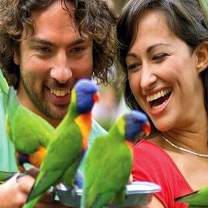 Veranstaltung: Currumbin Wildlife Sanctuary and TreeTop Challenge: Combo Ticket, Currumbin Wildlife Sanctuary in Currumbin