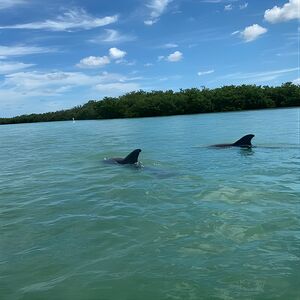 Veranstaltung: 2.5-Hour Guided Group Kayak Tour on Big Hickory Pass, Big Hickory Pass in Fort Myers