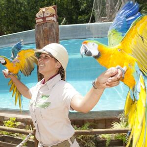 Veranstaltung: Jungle Park: Entrada, Jungle Park in Arona